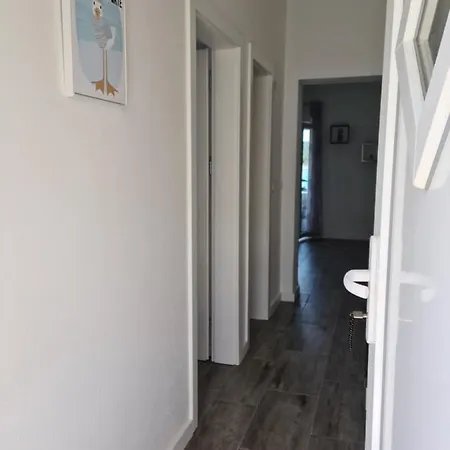 Rudi * Anić
