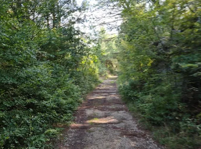 Rudi 아파트 Anić