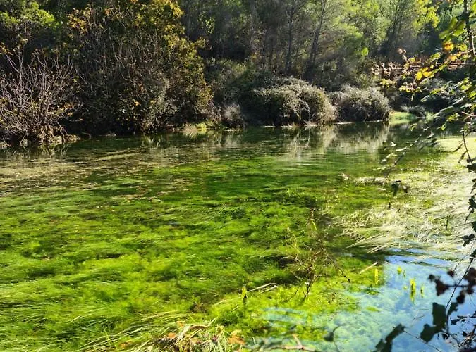 Rudi 아파트 Anić